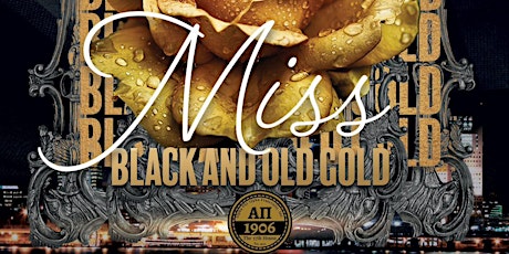 Miss Black & Old Gold