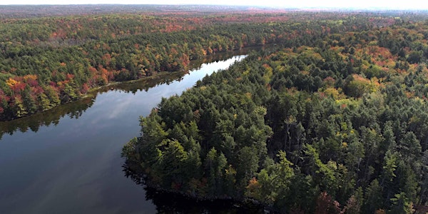 Forest Health