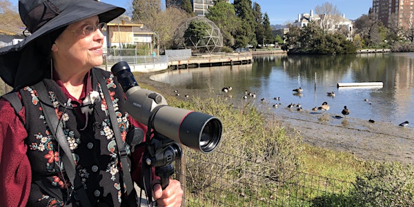 A Birder Back in Her Patch - Hilary Powers at Lake Merritt