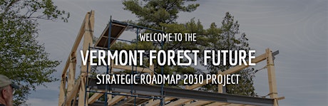 Vermont Forest Future Strategic Roadmap Industry Roundtable  - Burlington