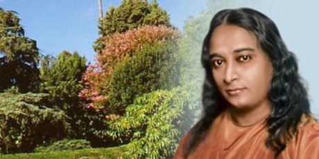 Kriya Yoga Of Babaji 144 Techniques Pdf Converter Kriya Yoga Of Babaji 144 Techniques Pdf Converter