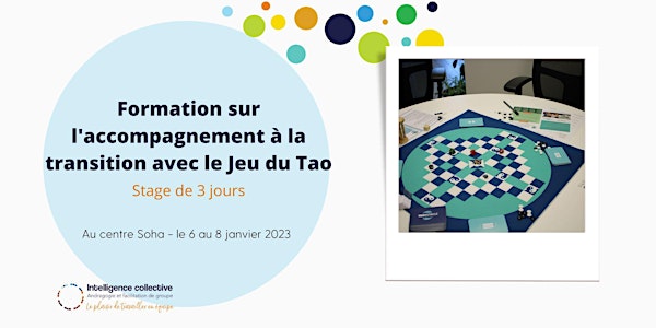 Formation sur l'accompagnement à la transition avec le Jeu du Tao
