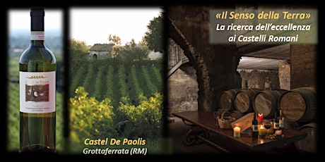 Immagine principale di Visita e degustazione in vigna - La ricerca dell’eccellenza ai Castelli Romani 