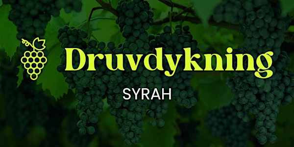 Vinprovning: Druvdykning Syrah