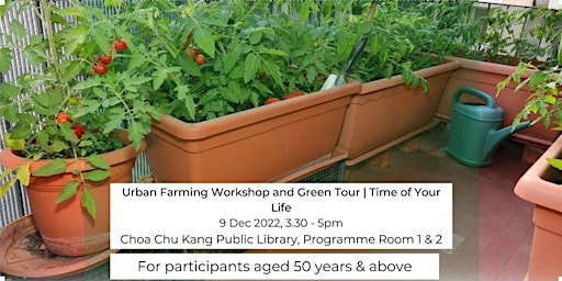 Urban Farming Workshop and Green Tour | Time of Your Life
