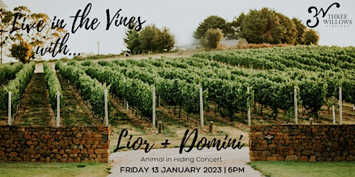LIVE IN THE VINES with Lior + Domini