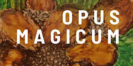 Opus Magicum
