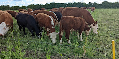 Regenerative Grazing - Part 1: Principles, Planning and Application primary image