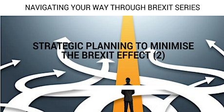 Strategic Planning to Minimise the Brexit Effect 2