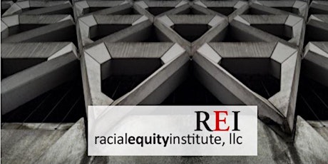 VIRTUAL - Racial Equity Institute - Groundwater Training