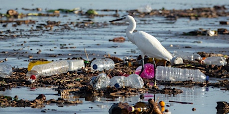 Beyond the Water Bottle: Minimizing Microplastic Pollution, Parts 1 & 2