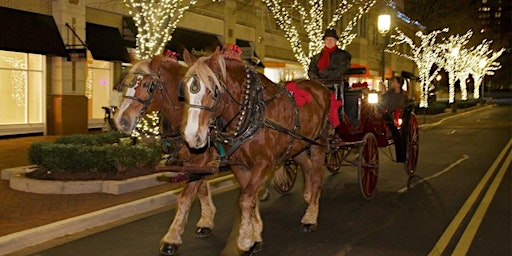 Holiday Carriage Rides at Reston Town Center