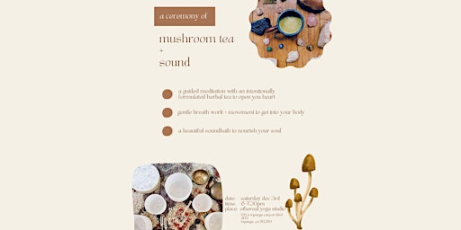 mushroom tea + sound ceremony