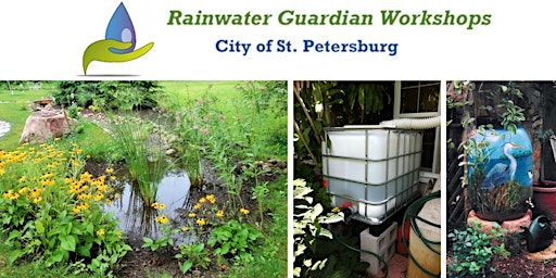 Rainwater Guardian Virtual Class December 7, 2022 from 6 to 8 pm EDT
