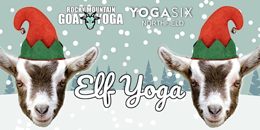 Elf Yoga - December 17th (YOGA SIX - NORTHFIELD)