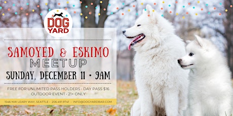 Samoyed & Eskimo Meetup at the Dog Yard Bar in Ballard - Saturday, Dec. 3