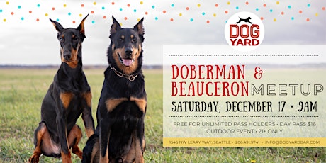 Doberman & Beauceron Meetup at Dog Yard Bar in Ballard - Saturday, Dec. 17 primary image