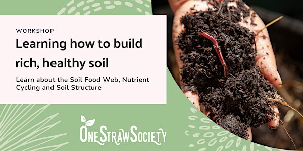 Learning how to build rich, healthy soil