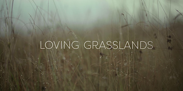 Launch of Loving Grasslands  - a short environmental documentary series