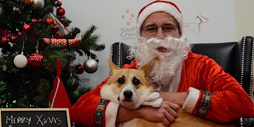 Santa Paws (Pet Photos with Santa) at Stockade Brewery, Marrickville