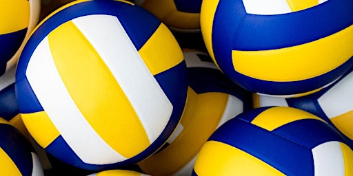 Voorster Volleybal Cup