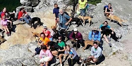 Hike with A Rescue Dog primary image