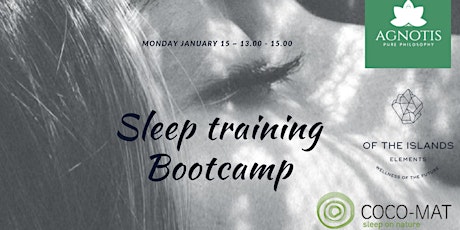 Primaire afbeelding van Sleep Training Bootcamp in Amsterdam - Free lunchtime workshop