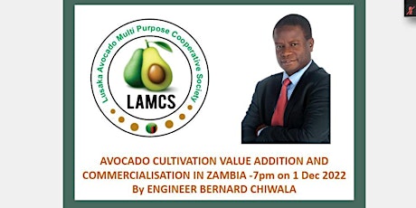 LAMCS - AVOCADO CULTIVATION VALUE ADDITION AND COMMERCIALISATION IN ZAMBIA