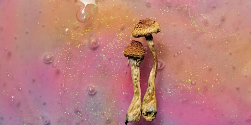 The Science of Psychedelics: The Future of Mental Health?