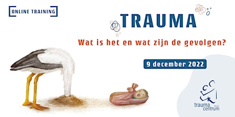 Primaire afbeelding van TRAUMA - Wat is het en wat zijn de gevolgen?