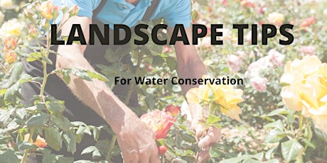 Landscape Tips for Water Conservation