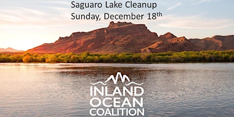 Saguaro Lake Cleanup