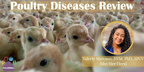 Poultry Diseases Review