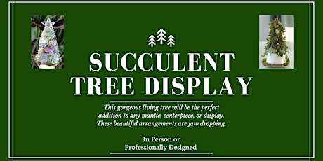 Succulent Tree Display