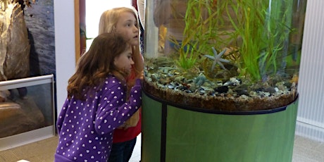 Aquarium Tour and Fish Feeding
