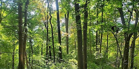 Dedication of California Woods Nature Preserve- Hamilton County, OH