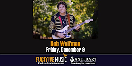 The Bob Wolfman Band