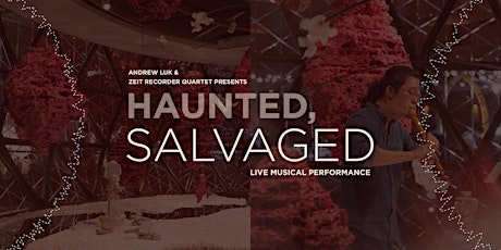 Haunted, Salvaged - Live Musical Performance