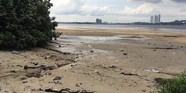 Marine trash sampling at Selimang Beach on 14 Jan 2018