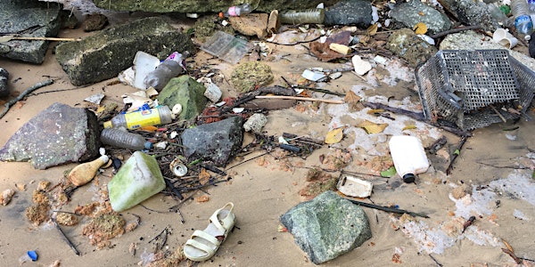 Marine trash sampling at Pulau Ubin on 20 Jan 2018