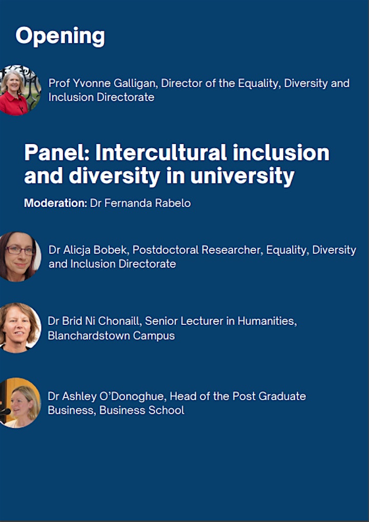 Intercultural Inclusion and Diversity in the University image