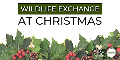 Wildlife Exchange at Christmas