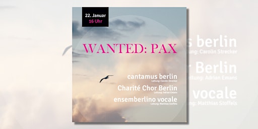 Sonntagskonzert Nr. 2 | Wanted: Pax