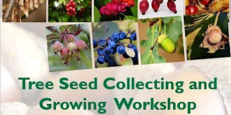 Tree Seed Collecting and Growing  Workshop