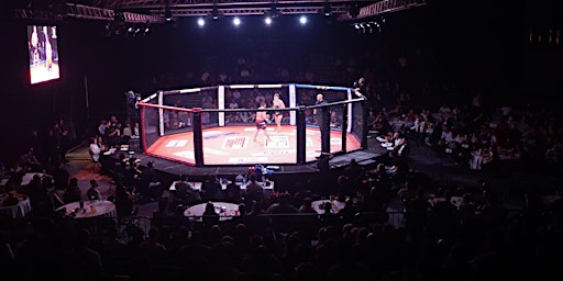 Caged Steel 30 (MMA Show)