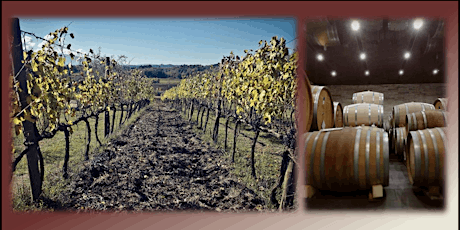 Immagine principale di Corso di Degustazione e Avvicinamento al Vino Internazionale "Viaggio nel mondo del Vino" 