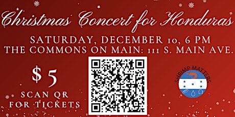 Christmas Concert For Honduras-Erwin