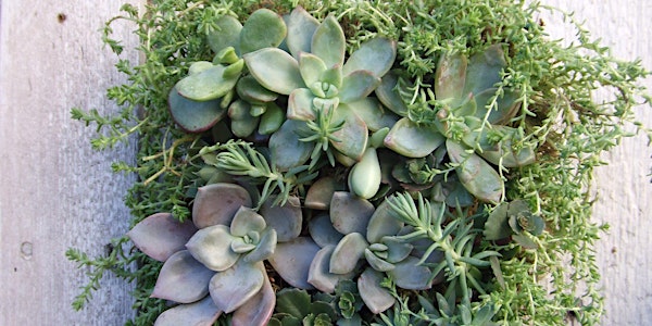 In Person! Vertical Gardening DIY - Sat, Jan 14th