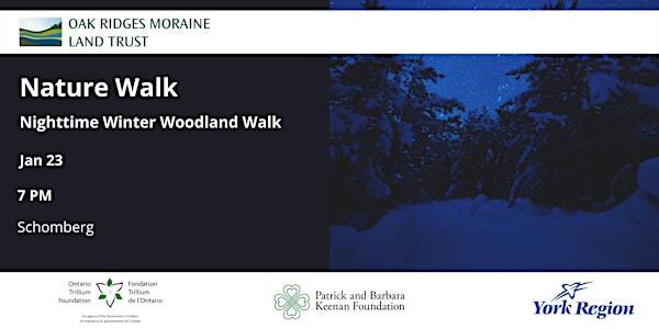 Nature Walk: Nighttime Winter Woodland Walk