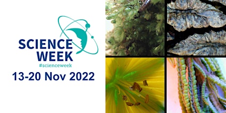 Science Week 2022: Delve Deeper for Families